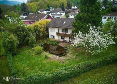DJI_0223.jpg - 