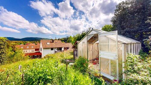 Garten mit Gewächshaus - 