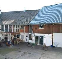 Paradies für Pferdefreunde und Autoschrauber - provisionsfrei - Schöffengrund / Schwalbach