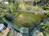 Bild 13 - 