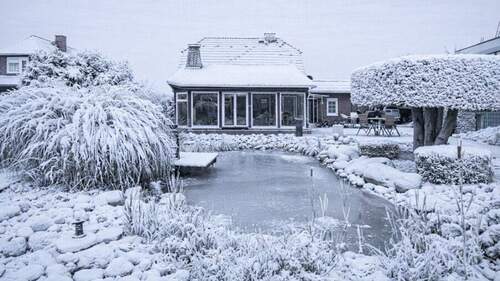 Gartenblick - Modern wohnen am Waldrand: Photovoltaik, Teich & Privatsphäre! Provisionsfrei!