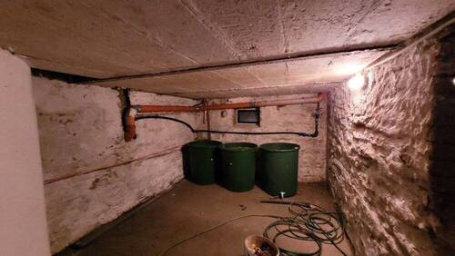 20250116_100341_resized - 