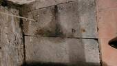 20250116_100601_resized - 
