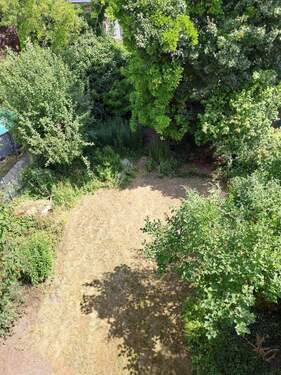 Bild 3 - 5 Zimmer Doppelhaushälfte in Ludwigshafen