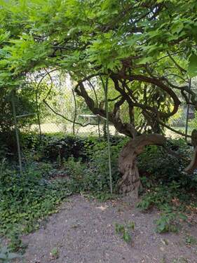 Bild 4 - Doppelhaushälfte mit 125,00 m² in Ludwigshafen zum Kaufen