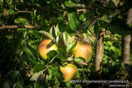 Impressionen - 