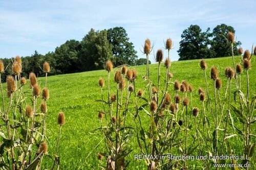Umfeld - 