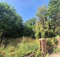 Provisionsfrei: 1.925 m² Entwicklungsgrundstück in Forst - vielseitig nutzbar in ruhiger Lage - Forst (Lausitz) Forst-Stadt