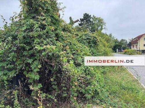 Mailing Bild 1.jpg - 