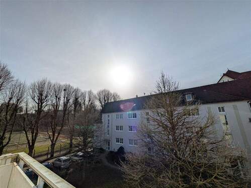 PXL_20260226_134114327 - 