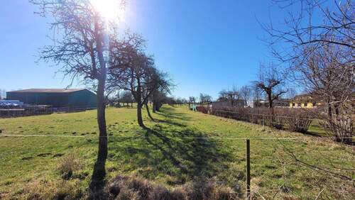 Apfelwiese - Grundstück in Frohburg