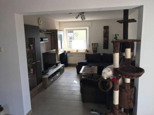 Bild 7 - 