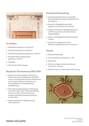 Ausstattungsliste 2 - 