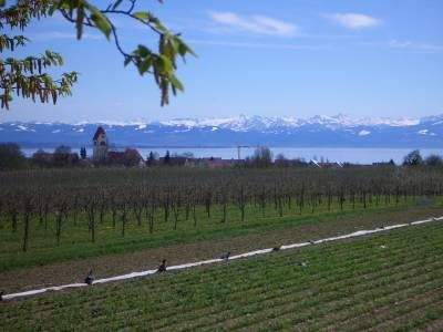 See- und Bergsicht vom Balkon - 