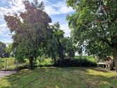 Hinter dem Zaun noch Obstbaumwiese - 
