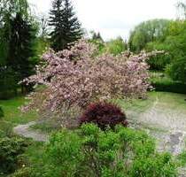 Schöne 2-Zimmerwohnung mit Sonnenterrasse und herrlichem Ausblick in den großen parkähnlichen Garten - Berlin Lankwitz