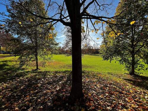 Bild 3 - Grundstück in Bad Berka
