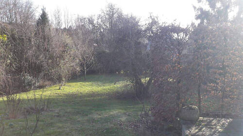 Garten - 