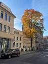 Straßenszene mit Herbstbaum - kleine 1,5- RWE mit Einbauküche und Dusche im Görlitzer Zentrum !