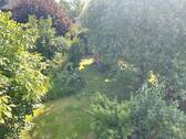 Garten 1 IMG_7970.jpeg - 