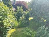 Garten 2 IMG_7972.jpeg - 