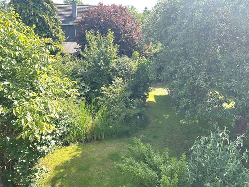 Garten 2 IMG_7972.jpeg - 