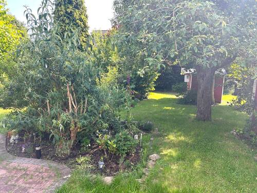 Garten 4 IMG_7974.jpeg - 