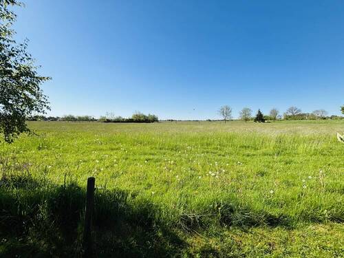 Gartenblick - 