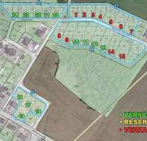 Baugrundstücke bei Dessau-Roßlau: 13 Parzellen von 415-882 m² einzeln oder gesamt verfügbar - Jütrichau