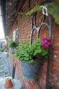Impression - 