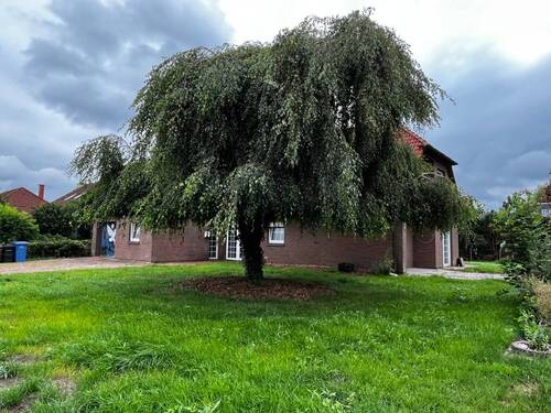 Straßenansicht - 8 Zimmer Einfamilienhaus in Saterland