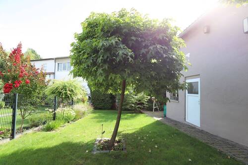 Garten.. - 