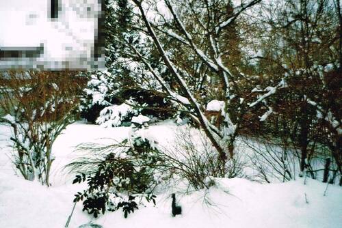Garten-vorne-Winter - Grundstück in Gräfelfing