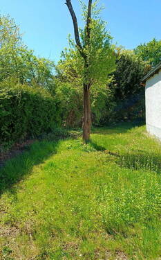 Garten-seitlich - Grundstück in Gräfelfing zum Kaufen