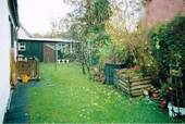 Garten-hinten - 