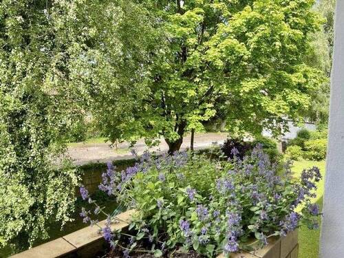 Blick vom Balkon - 