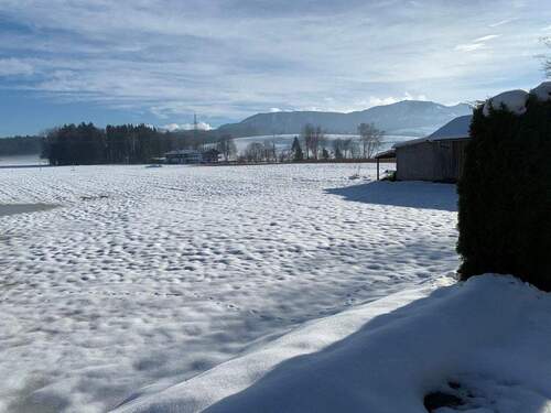 Blick v. Garten im Winter - 