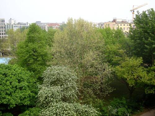 12-apartment627.jpg - 