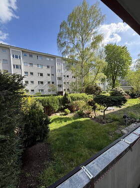 Bild 11 - 