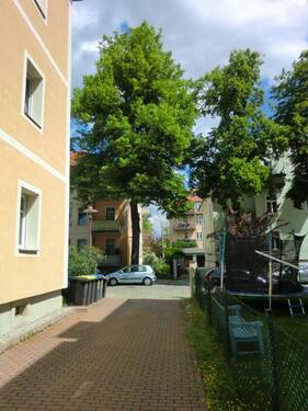 Die Einfahrt - 1 Zimmer Mehrfamilienhaus, Wohnhaus zum Kaufen in Dresden
