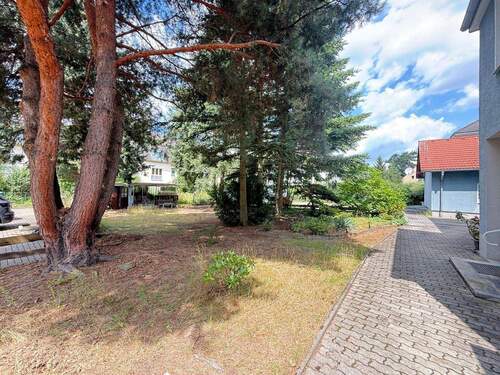 Grundstücksansicht - Grundstück in Dresden zum Kaufen