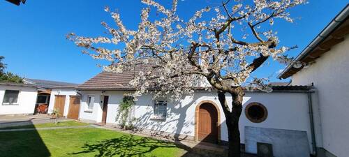 Hof und Eingang zur Ferienwohnung - 6 Zimmer Einfamilienhaus in Ferdinandshof