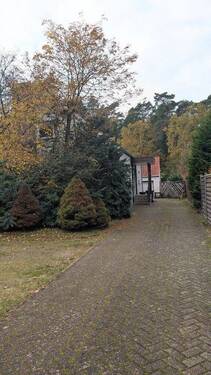 k-PXL_20251104_104945928.jpg - 