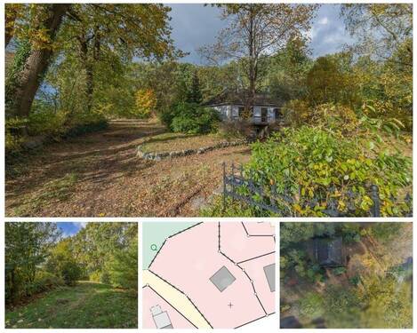 Bild 1 - Großes Grundstück mit Altbestand in ruhiger Lage von Lohe-Föhrden - mitten in Schleswig-Holstein