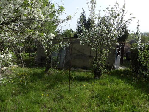 Ansicht Grundstück - Grundstück zum Kaufen in Riesa