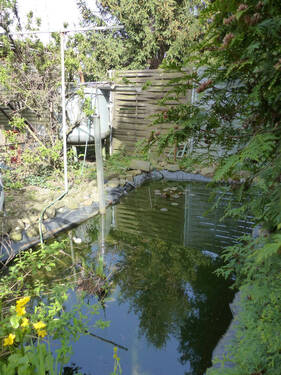 Gartenteich - 