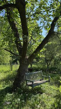 Gartenansicht Baum - 