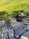 Gartengestaltung - 