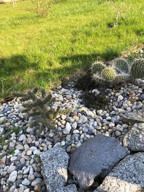 Gartengestaltung - 