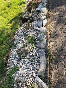 Gartengestaltung - 
